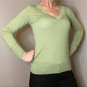 The Limited Large Light Green fitted V-neck sweater